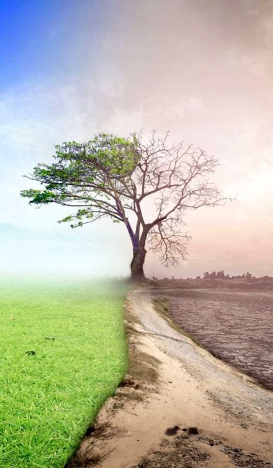 Compromiso por el futuro - Come con Ciencia - Calentamiento global