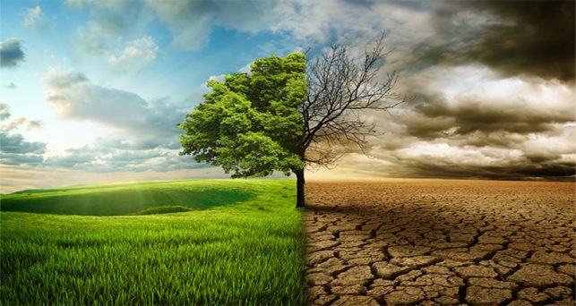 Compromiso por el futuro - Come con Ciencia - Calentamiento global Moviles